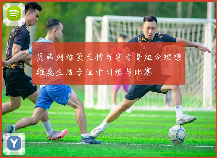 贝弗利称莫兰特与字母哥组合理想雄鹿生活专注于训练与比赛